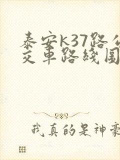泰安k37路公交车路线图及时间表
