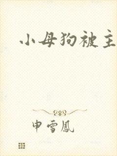 小母狗被主人操