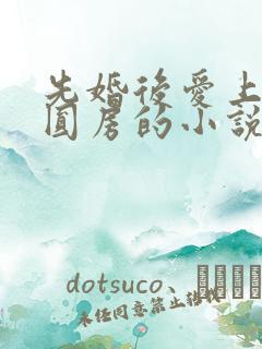 先婚后爱上来就圆房的小说