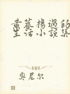 黄蓉杨过的幸福生活小说集