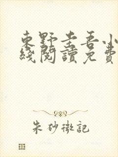 东野圭吾小说在线阅读免费