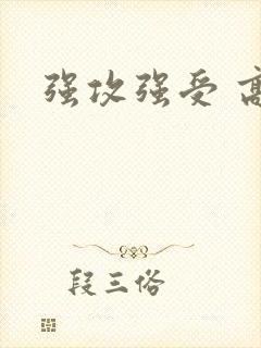 强攻强受 高h