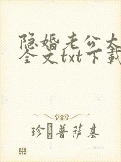 隐婚老公太神秘全文txt下载