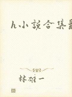 h小说合集乱