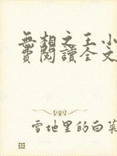 无相之王小说免费阅读全文最新