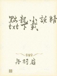 黜龙小说精校版txt下载