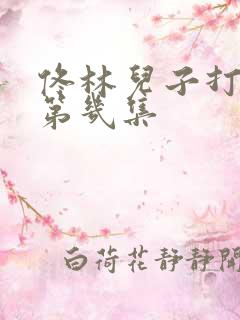 佟林儿子打警察第几集