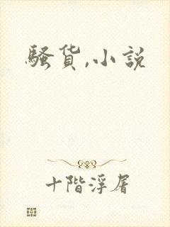骚货,小说