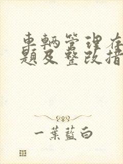 车辆管理存在问题及整改措施