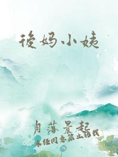 后妈小姨