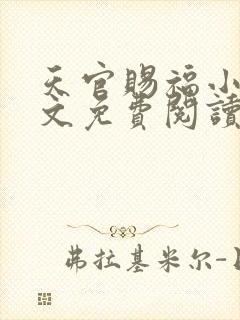 天官赐福小说全文免费阅读无弹窗