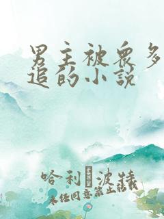 男主被众多女主追的小说