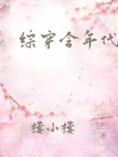 综穿含年代文