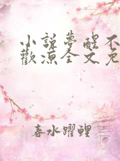 小说梦醒不知爱欢凉全文免费阅读