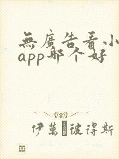 无广告看小说的app哪个好