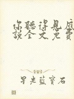 你听得见应橙小说全文免费阅读笔趣阁