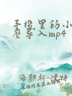 手机里的小说怎么导入mp4