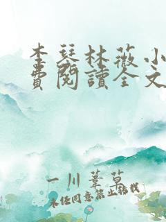 李琴林薇小说免费阅读全文最新章节