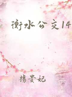 衡水公交14路