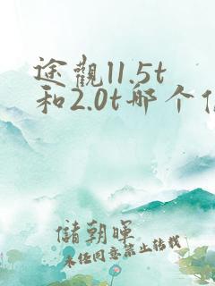途观l1.5t和2.0t哪个值得买