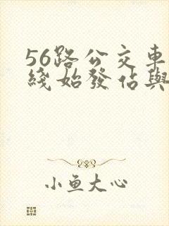 56路公交车路线始发站与终点站