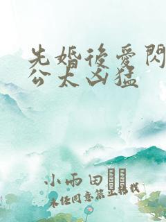 先婚后爱闪婚老公太凶猛