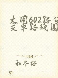 大同602路公交车路线图