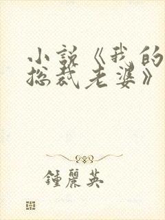 小说《我的冷艳总裁老婆》