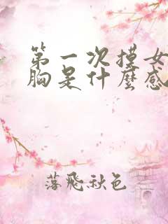 第一次摸女生的胸是什么感觉