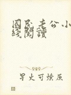国民老公小说在线阅读