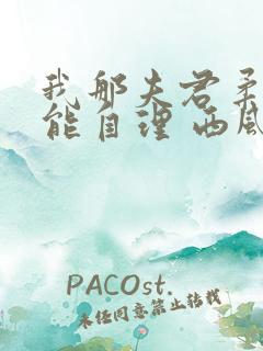 我那夫君柔弱不能自理 西风锦