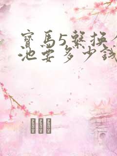 宝马5系换个电池要多少钱