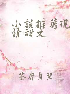 小说推荐现代言情甜文 小说推荐现代言情甜文