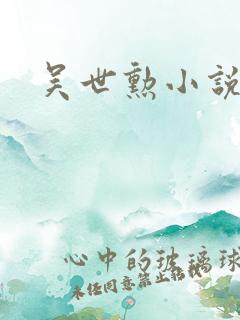吴世勋小说韩娱
