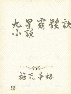 九星霸体诀龙尘小说
