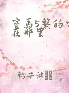 宝马5系的电池在哪里