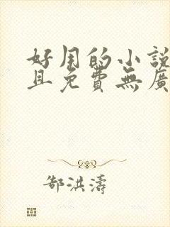 好用的小说软件且免费无广告