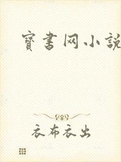 宝书网小说免费