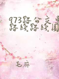 973路公交车路线路线图