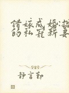 错嫁成婚:总裁的私宠新妻 小说 错嫁成婚:总裁的私宠新妻 小说