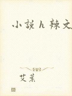 小说 h 辣文 小说 h 辣文