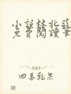 小说林北苏婉儿免费阅读笔趣阁