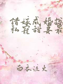 错嫁成婚总裁的私宠甜妻最新