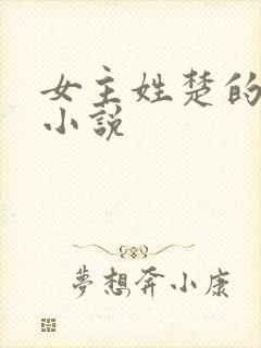 女主姓楚的重生小说