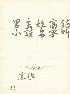 男主姓商的总裁小说名字叫什么