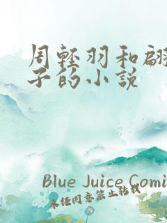 周轻羽和翩然仙子的小说
