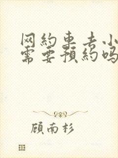 网约车去小梅沙需要预约吗 网约车去小梅沙需要预约吗