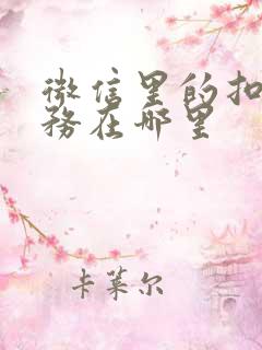 微信里的扣费服务在哪里
