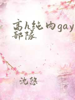 高h纯肉gay部队