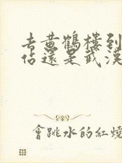 去黄鹤楼到汉口站还是武汉站 去黄鹤楼到汉口站还是武汉站
